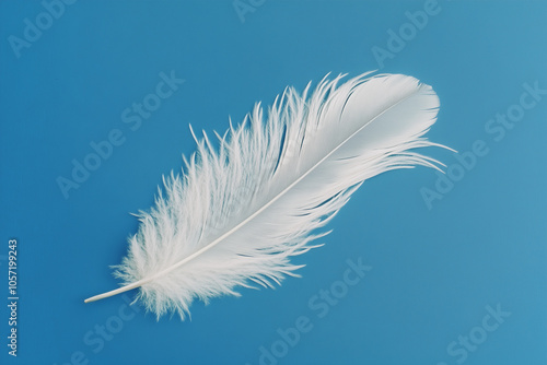 White swan feather isolated on blue background