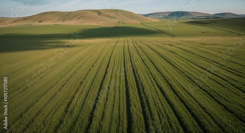 Open meadow with distant rolling hills aerial view