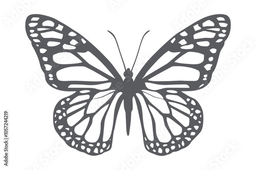 Paper cut Butterfly SVG cut file, butterfly svg cut file, Cricut butterfly