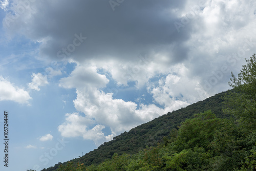 dettagli di una catena montuosa nel nord Italia, coperta da vaste foreste, vista dal basso, sotto un cielo nuvoloso, di giorno, in estate photo