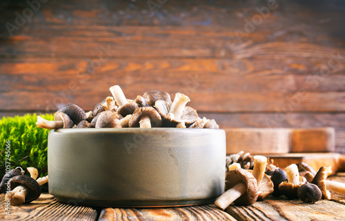 raw gray mushrooms in bowl photo