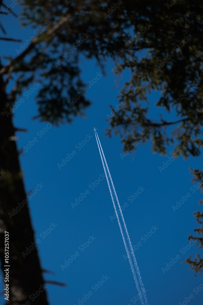 concetto di viaggiare in aereo. inquadratura verticale che mostra parte del tronco e di alcuni rami di un grande albero scuro in primo piano ed un aereo di linea lontano nel cielo sereno e azzurro