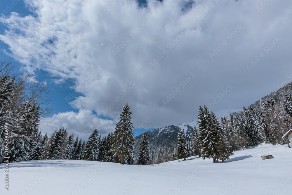ampia vista panoramica su un bellissimo ambiente naturale innevato, nelle montagne del Friuli Venezia Giulia settentrionale, nel nord Italia, di mattina, in inverno