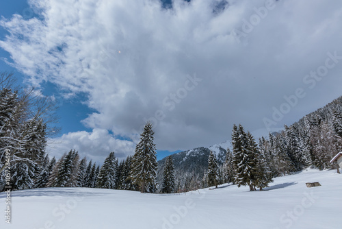 Obraz na płótnie ampia vista panoramica su un bellissimo ambiente naturale innevato, nelle montagne del Friuli Venezia Giulia settentrionale, nel nord Italia, di mattina, in inverno w salonie