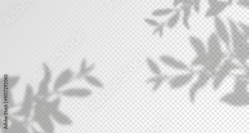 Glare from the sun's rays on the wall. Blurred shadows from leaves and plants in the room. Soft overlay of natural light. Abstract background for product presentation.Natural light layout.