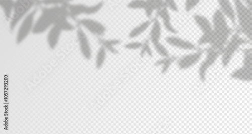 Glare from the sun's rays on the wall. Blurred shadows from leaves and plants in the room. Soft overlay of natural light. Abstract background for product presentation.Natural light layout.