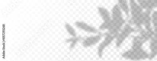 Glare from the sun's rays on the wall. Blurred shadows from leaves and plants in the room. Soft overlay of natural light. Abstract background for product presentation.Natural light layout.