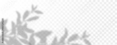 Glare from the sun's rays on the wall. Blurred shadows from leaves and plants in the room. Soft overlay of natural light. Abstract background for product presentation.Natural light layout.