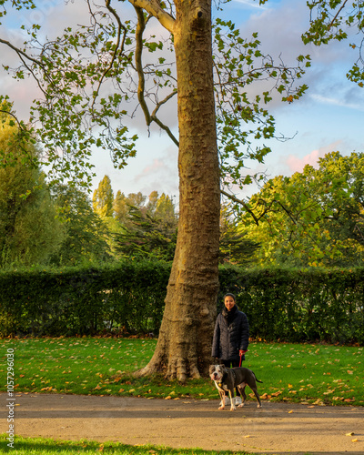 London - 10 15 2022: Happy girl walking her dog in Roundwood Park at sunset