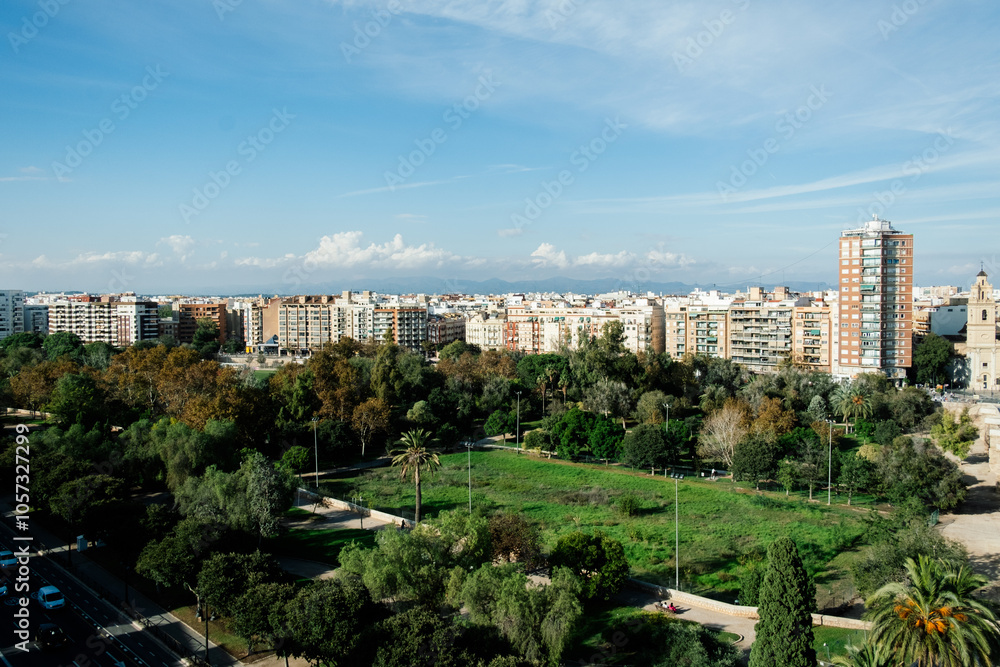 Obraz premium Valencia, Spain, Elevated Cityscape View of Urban Residential Buildings Amidst Lush Green Park on a Clear Sunny Day