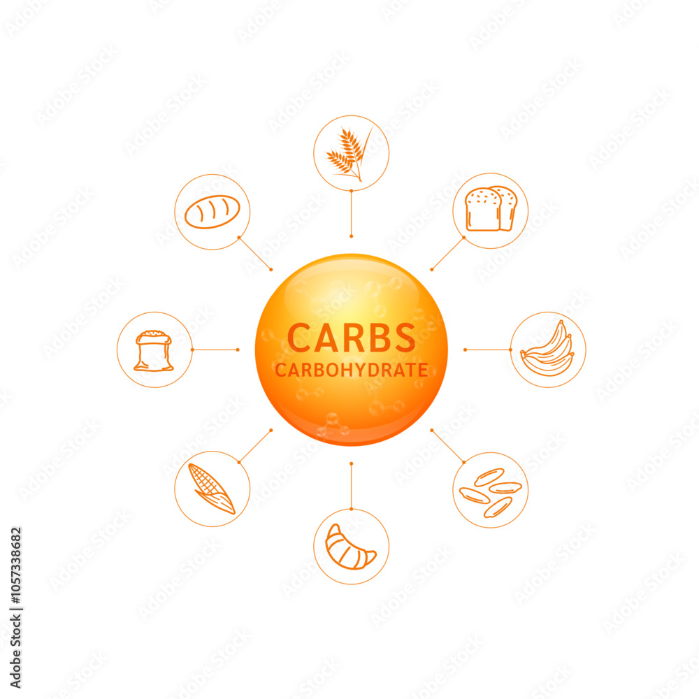 Carbohydrate or Carbs orange from flour, sugar and dietary fiber. It is the body main source of energy. For nutrition products food supplements health. Nutrients essential for intestine. Vector. Carbohydrate or Carbs orange from flour, sugar and dietary fiber. It is the body main source of energy. For nutrition products food supplements health. Nutrients essential for intestine. Vector.