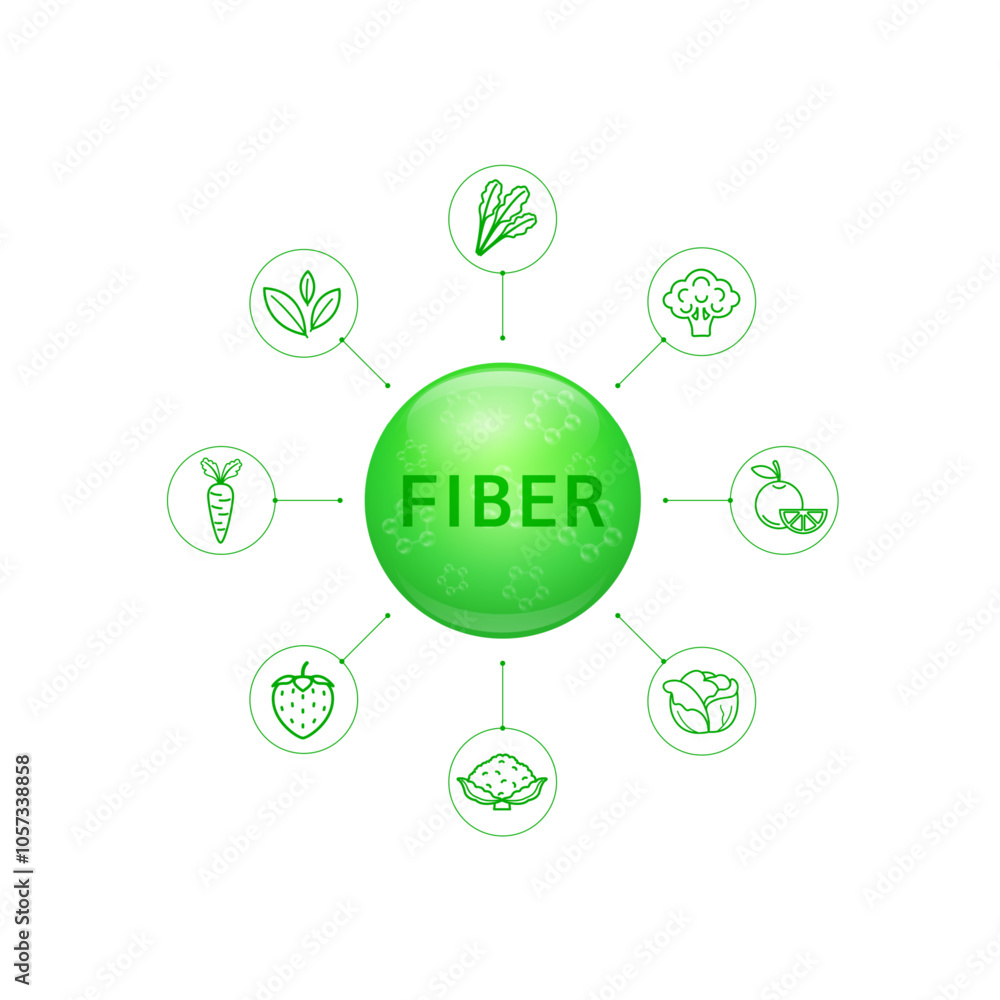 Fiber green from natural fruits vegetables. For nutrition products food supplements health. Prebiotics Probiotic Beta carotene. Nutrients essential for intestine. Vector illustration. Fiber green from natural fruits vegetables. For nutrition products food supplements health. Prebiotics Probiotic Beta carotene. Nutrients essential for intestine. Vector illustration.
