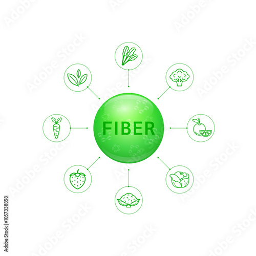 Fiber green from natural fruits vegetables. For nutrition products food supplements health. Prebiotics Probiotic Beta carotene. Nutrients essential for intestine. Vector illustration.