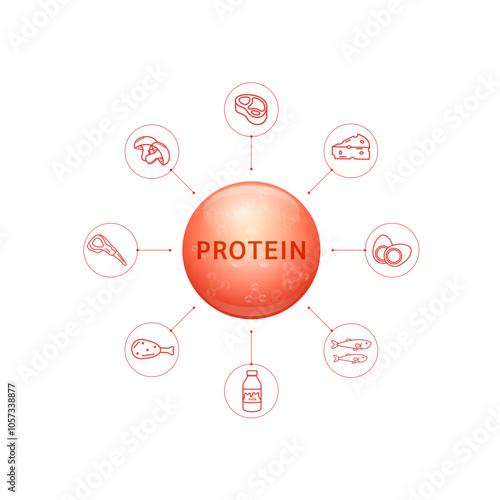 Protein red derived from meat and fruits. Nutrients that provide energy to the body. For nutrition products food supplements health. Vector.