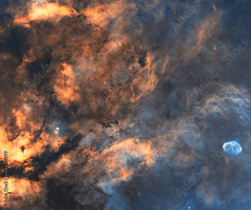 Gamma Cigny and crescent Nebula, soothed fo a total of 20 hours in 5 different night. It's not an Ai generated content.