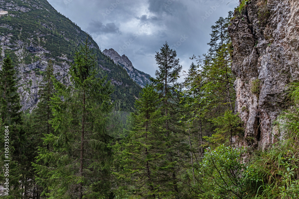 ampia vista panoramica tra i boschi, in un ambiente di montagna, nell'Italia settentrionale, in Veneto, in estate, di pomeriggio, all'arrivo di un temporale ampia vista panoramica tra i boschi, in un ambiente di montagna, nell'Italia settentrionale, in Veneto, in estate, di pomeriggio, all'arrivo di un temporale
