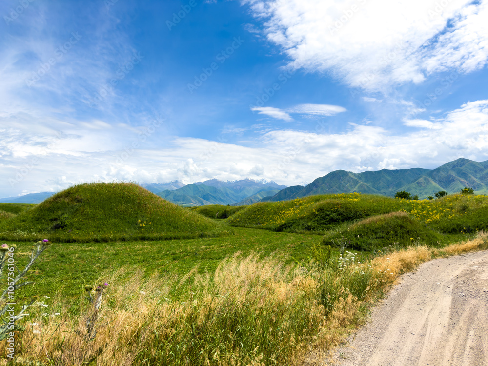 Spring landscape with wildflowers and a dirt road leading through a blooming field under a blue sky in the foothills of Kyrgyzstan. Spring landscape with wildflowers and a dirt road leading through a blooming field under a blue sky in the foothills of Kyrgyzstan.