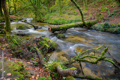 Golitha Falls photo