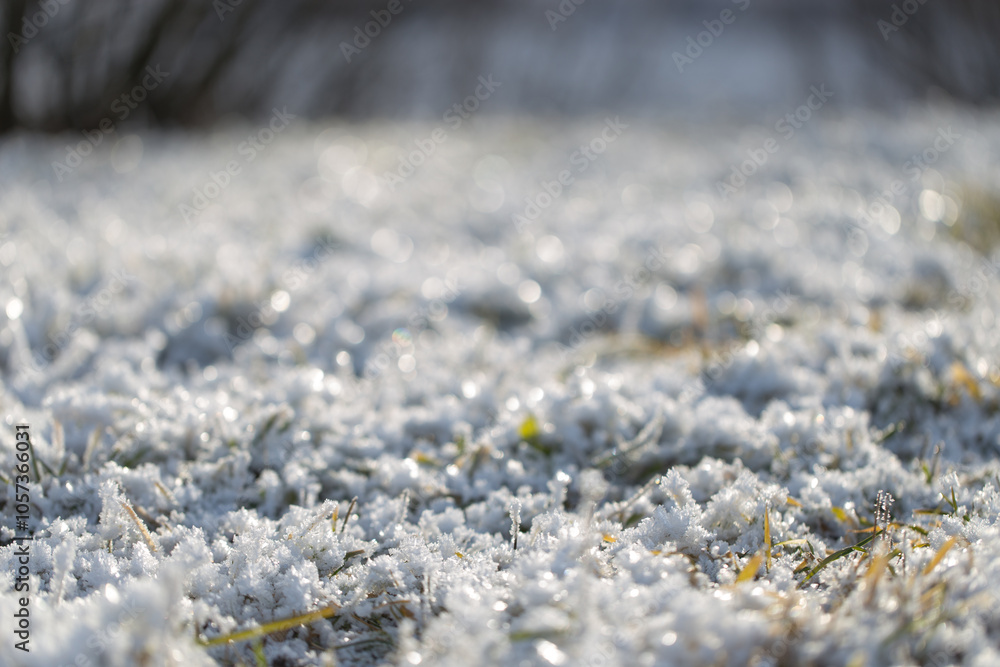 vista macro di un terreno coperto da cristalli di neve, di giorno, in inverno vista macro di un terreno coperto da cristalli di neve, di giorno, in inverno