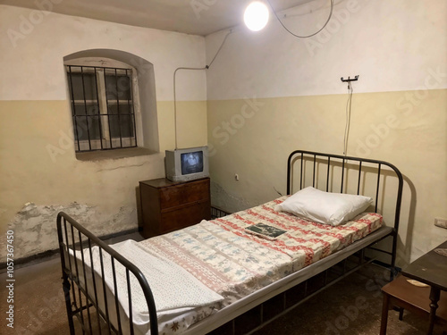 TV in Bedroom with Iron Cot and Basic Bedding
