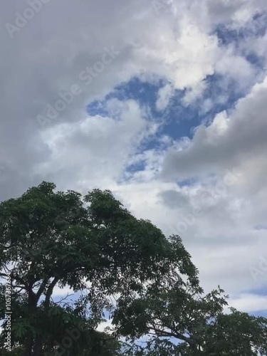 clouds and trees