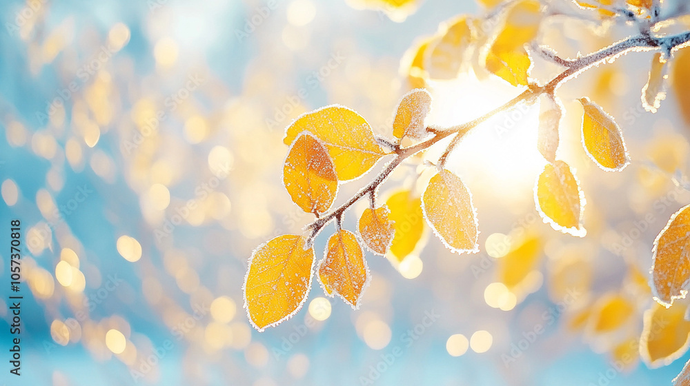 Close up shot, yellow leaves covered in frost, depth of field. Close up shot, yellow leaves covered in frost, depth of field.