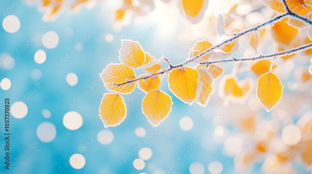 Close up shot, yellow leaves covered in frost, depth of field. Close up shot, yellow leaves covered in frost, depth of field.