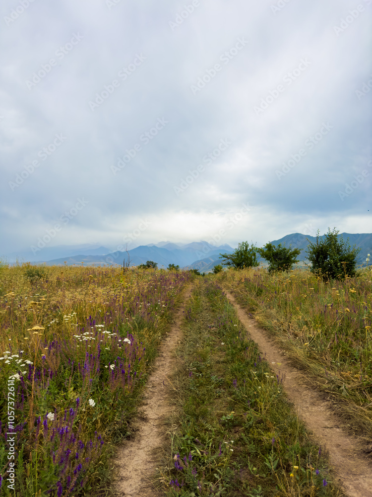 Spring landscape with wildflowers and a dirt road leading through a blooming field under a blue sky in the foothills of Kyrgyzstan. Spring landscape with wildflowers and a dirt road leading through a blooming field under a blue sky in the foothills of Kyrgyzstan.