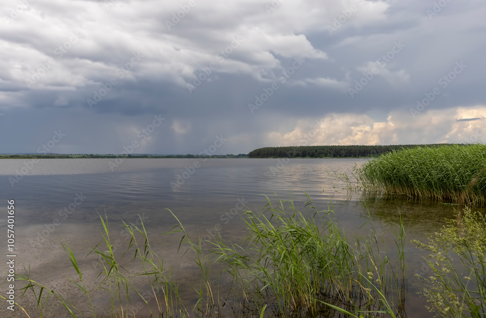 Fototapeta premium lake and trees on the shore before a storm
