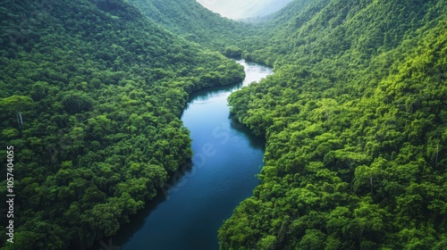 A pristine river cutting through a dense rainforest