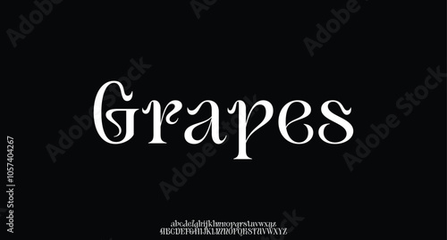 Classy elegant font, vintage type or luxury premium typeface, vector English royal alphabet. Classic typography in modern or old art deco style, serif letters for modern or retro poster font
