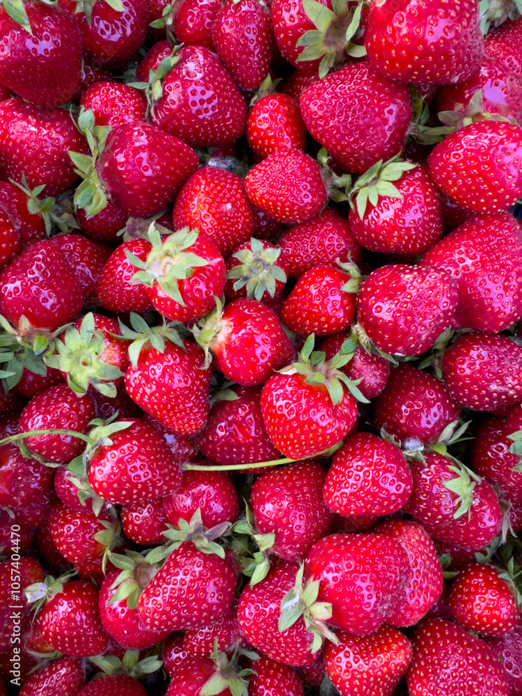 Bright and juicy fresh strawberries, a close-up of ripe berries with a rich red color. Bright and juicy fresh strawberries, a close-up of ripe berries with a rich red color.