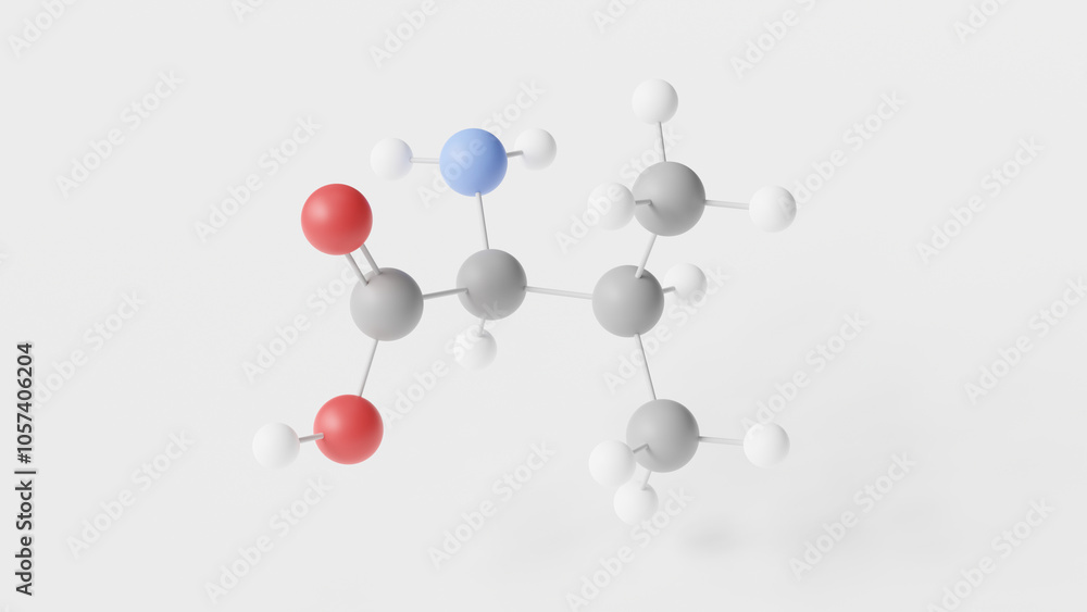 valine molecule 3d, molecular structure, ball and stick model, structural chemical formula amino acid valine molecule 3d, molecular structure, ball and stick model, structural chemical formula amino acid
