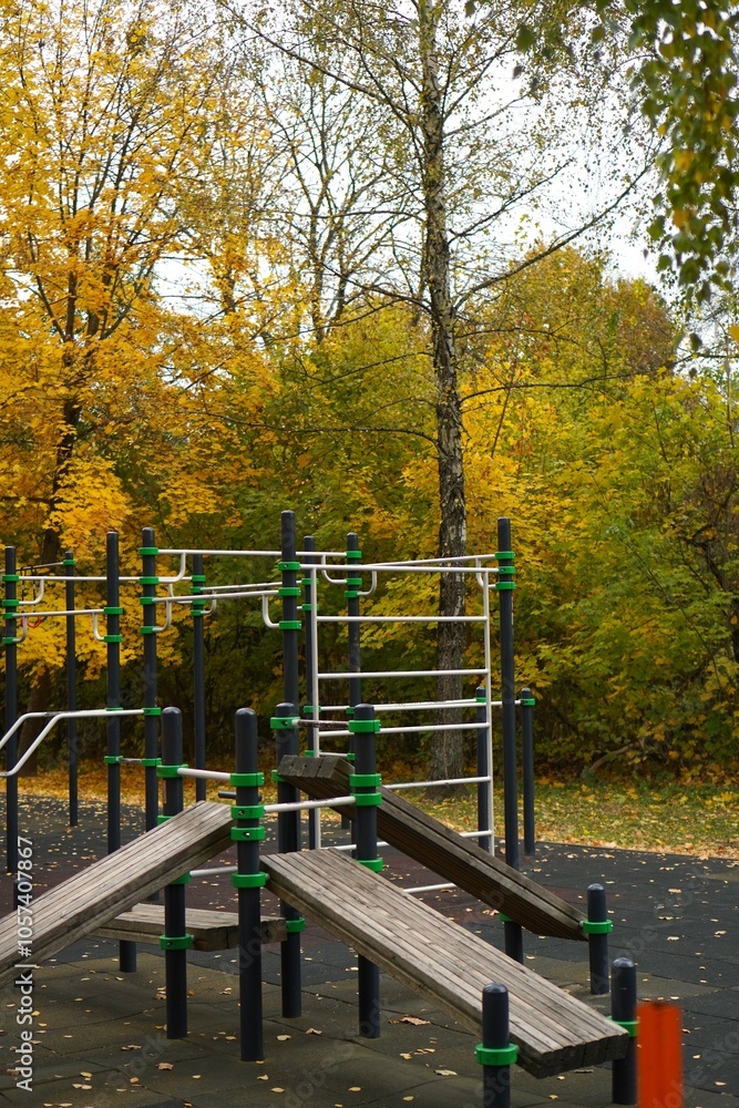 autumn in the park in autumn autumn in the park in autumn