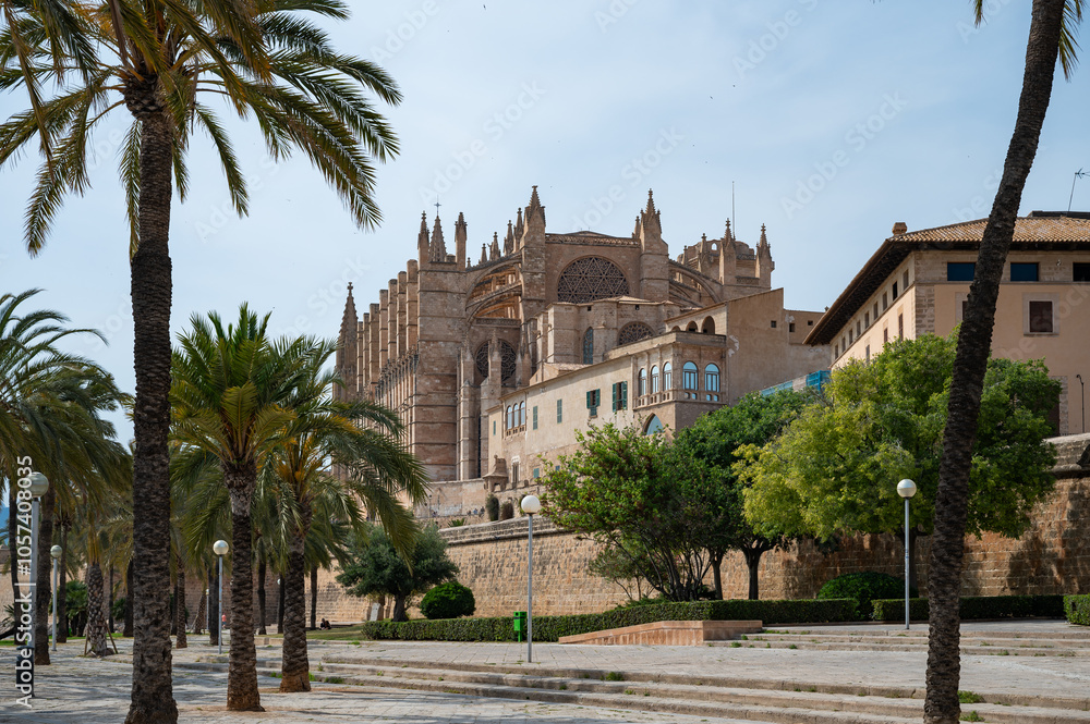 Cathedral of Santa Maria of Palma, La Seu view from low angle, palm trees, back side of the cathedrale, Palma de Mallorca, Spain Cathedral of Santa Maria of Palma, La Seu view from low angle, palm trees, back side of the cathedrale, Palma de Mallorca, Spain