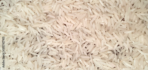 Rice grains. Basmati rice on a wooden table. Basmati. White grains. Rice for cooking. Rice close up on a wooden board.
