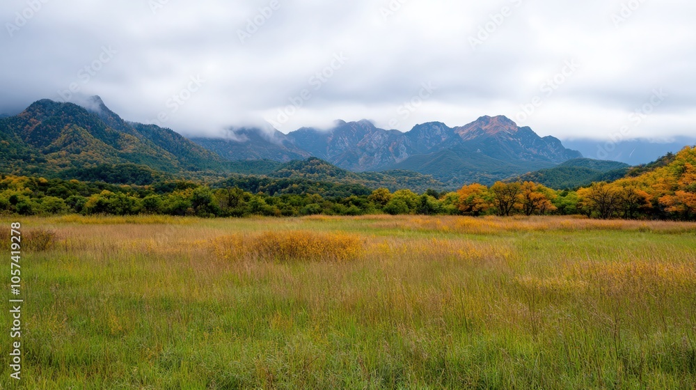 A scenic nature landscape with autumn colors and misty mountains A scenic nature landscape with autumn colors and misty mountains