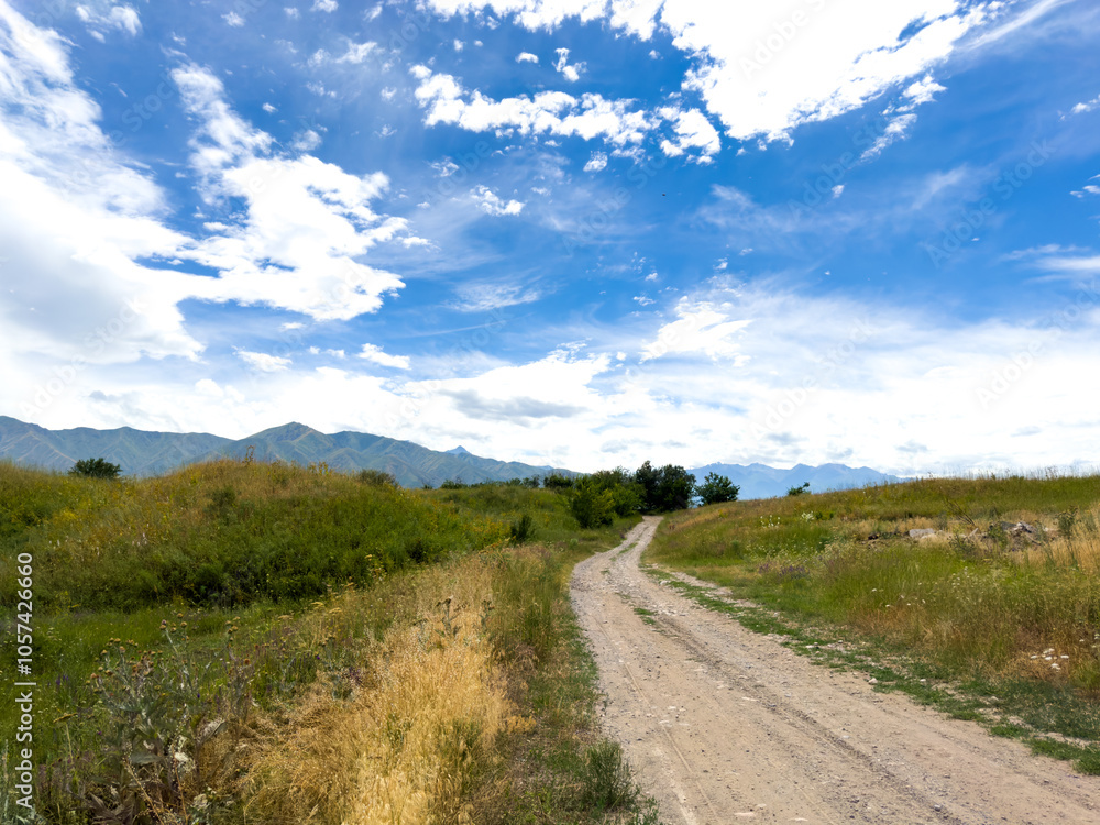 Spring landscape with wildflowers and a dirt road leading through a blooming field under a blue sky in the foothills of Kyrgyzstan. Spring landscape with wildflowers and a dirt road leading through a blooming field under a blue sky in the foothills of Kyrgyzstan.