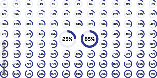 Ring percentage diagram. Circle percentage diagrams from 0 to 100.  Progress bar Vector illustration. Circle progress bar set with percentage text from 0 to 100 percent for infographics. 
