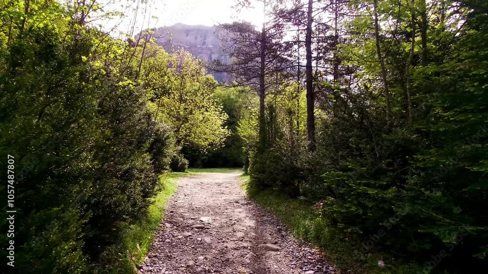 The splendor of Ordesa in autumn and in 4K: walk through the beech forest, the course of the Arazas River and the mountains that crown the Monte Perdido National Park in Aragon. The splendor of Ordesa in autumn and in 4K: walk through the beech forest, the course of the Arazas River and the mountains that crown the Monte Perdido National Park in Aragon.