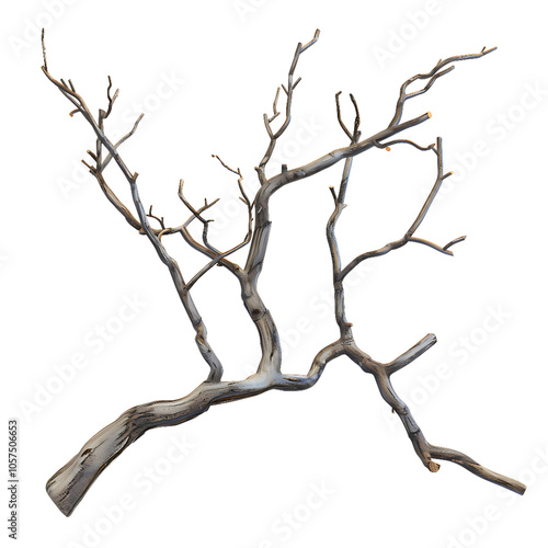 A gnarled, dry branch with many branches reaching out. photo