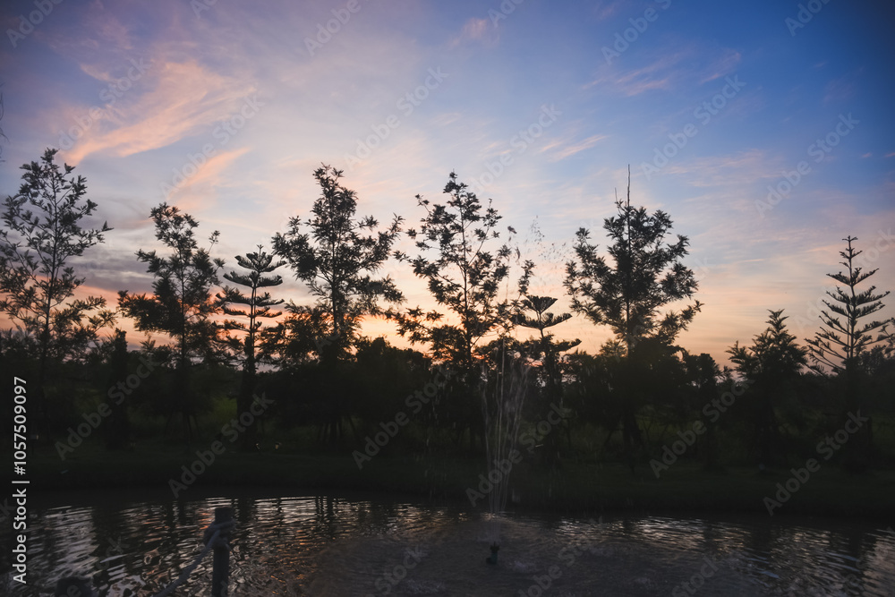 Fototapeta premium Sunset sky and tree shadows in the evening background