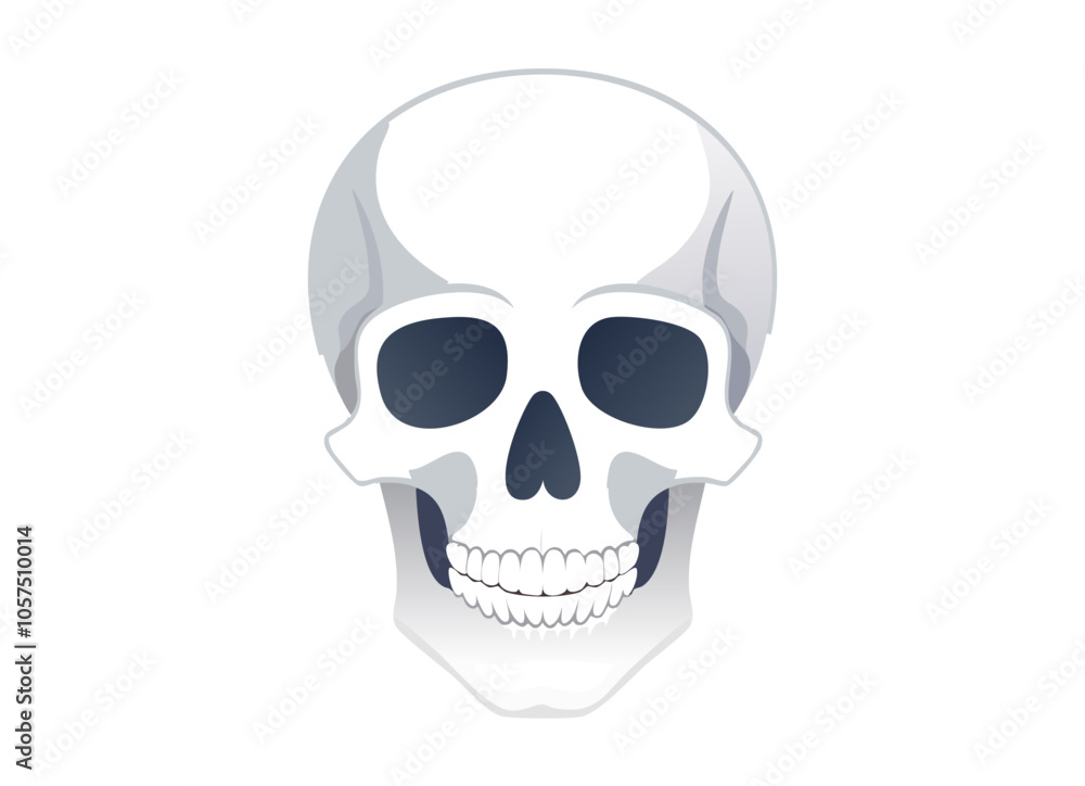 tete de mort 2 tete de mort 2