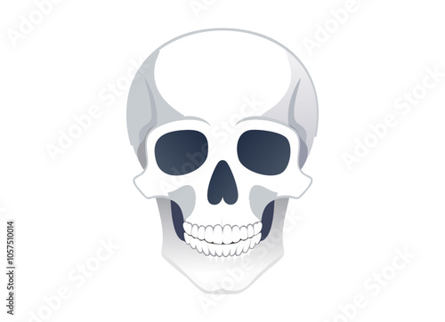 tete de mort 2
