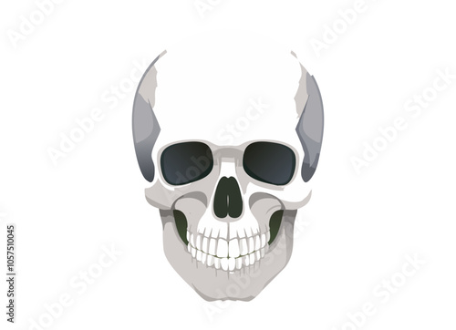 tete de mort 3