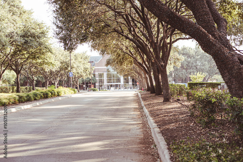 City Hall building of Farmers Branch, city in Dallas County, Texas surrounding lush green tree lined street, scenic Southern Oak boulevard in warm late afternoon light, well maintained landscape City Hall building of Farmers Branch, city in Dallas County, Texas surrounding lush green tree lined street, scenic Southern Oak boulevard in warm late afternoon light, well maintained landscape