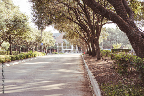 City Hall building of Farmers Branch, city in Dallas County, Texas surrounding lush green tree lined street, scenic Southern Oak boulevard in warm late afternoon light, well maintained landscape photo