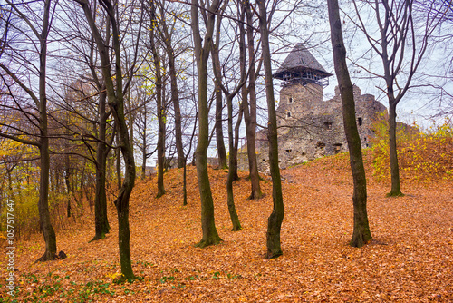 nevytske, ukraine - 16 NOV, 2013: medieval castle on the hill. autumn scenery. popular tourist attraction of transcarpathia photo