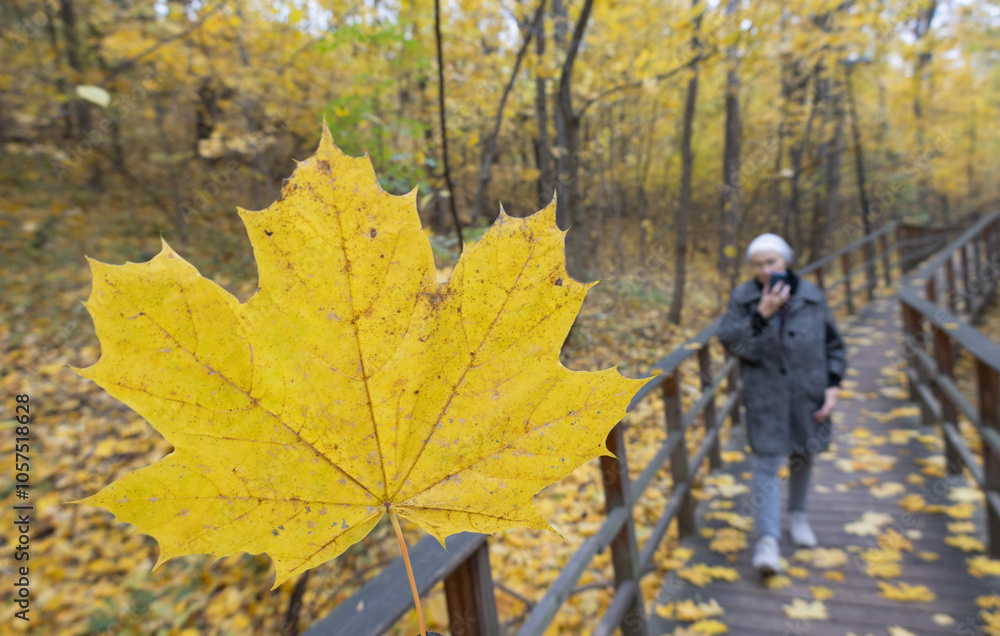 An elderly woman walks along a wooden path strewn with autumn leaves and talks on the phone in a park An elderly woman walks along a wooden path strewn with autumn leaves and talks on the phone in a park