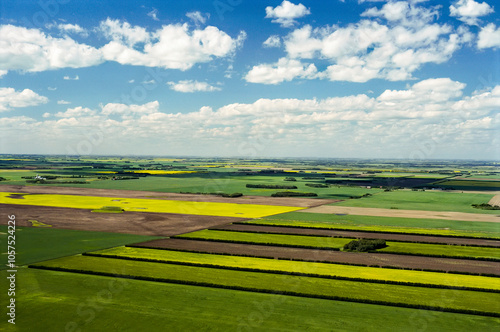 Ripening canola fields on the Canadian prairies; Saskatchewan, Canada photo